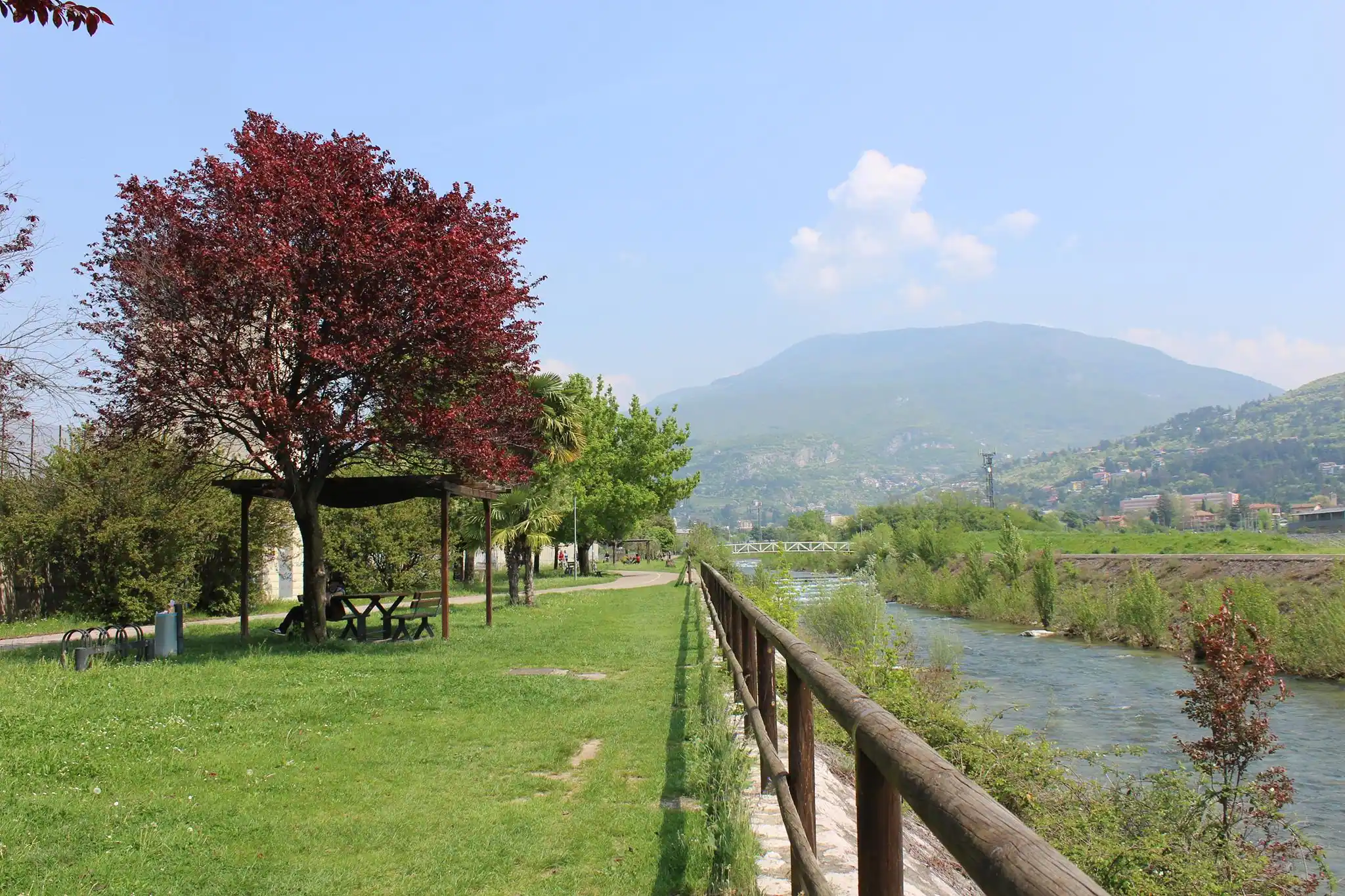 Psicologa a Rovereto – Studio di Luciana Ciringione